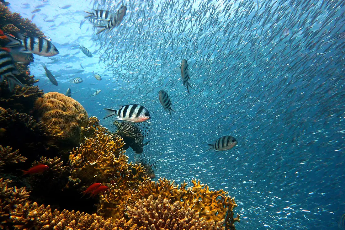 Bonaire – Natur, Ruhe, Unterwasserwelten
