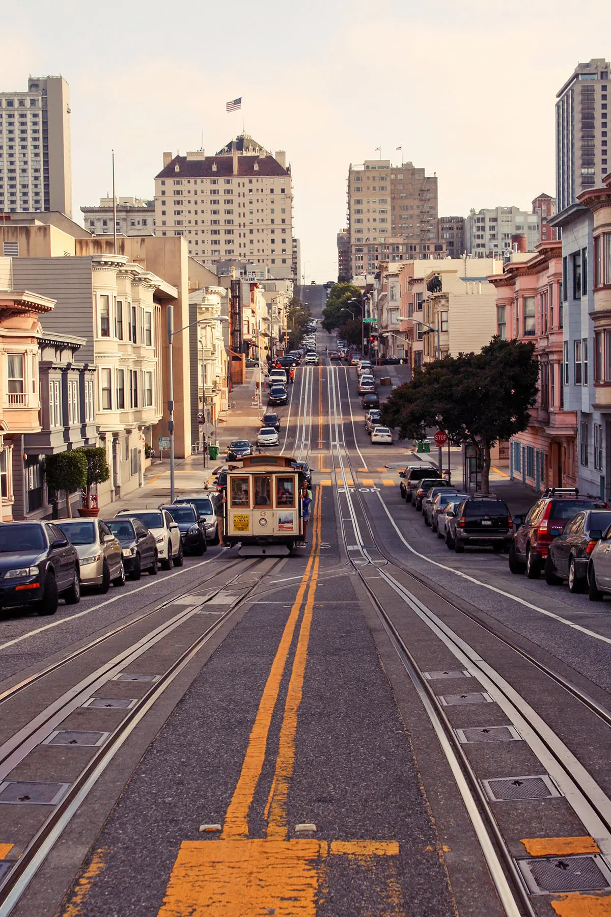 thiemen san francisco 3658531
