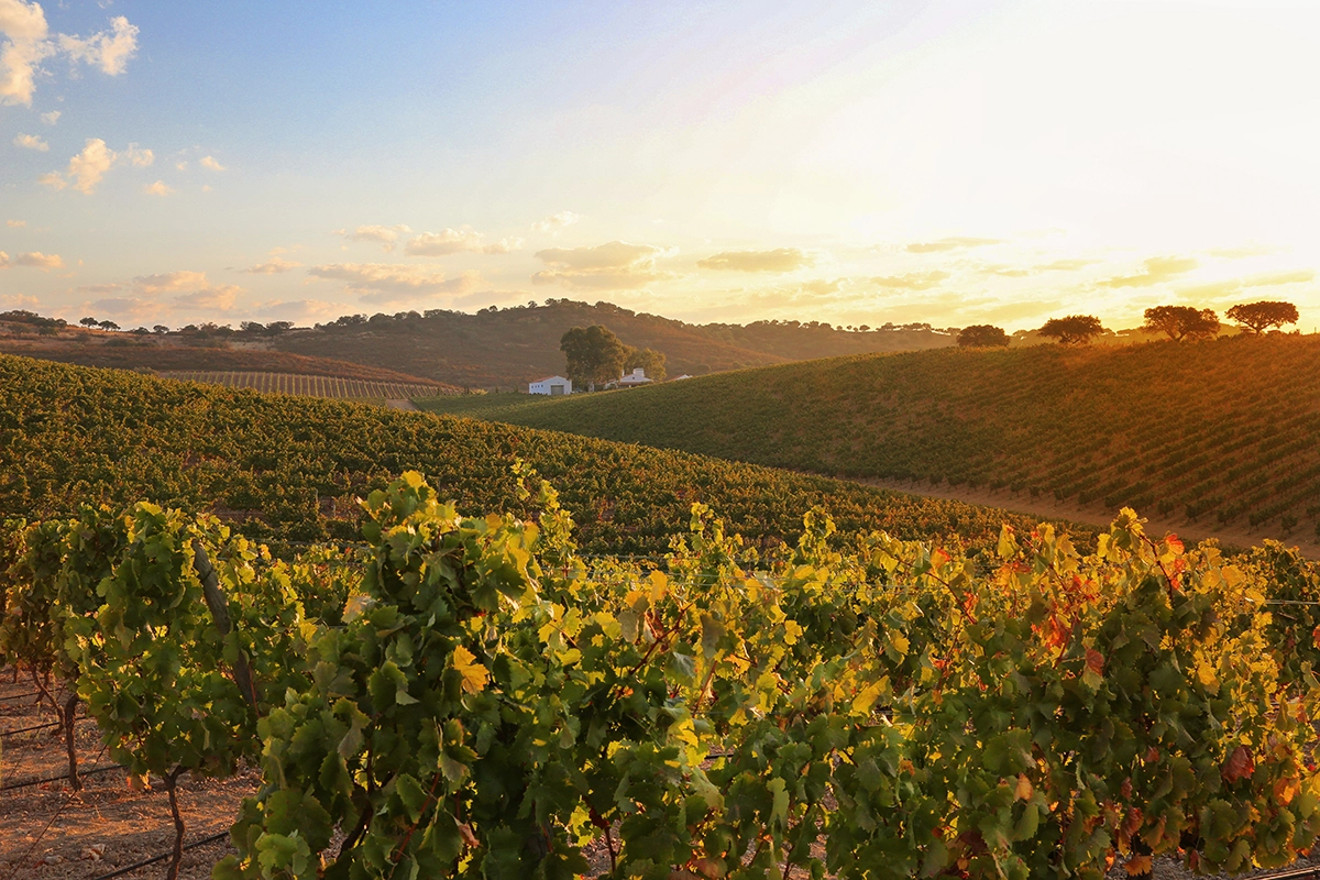 Alentejo  Die Ruhe nach der Hitze
