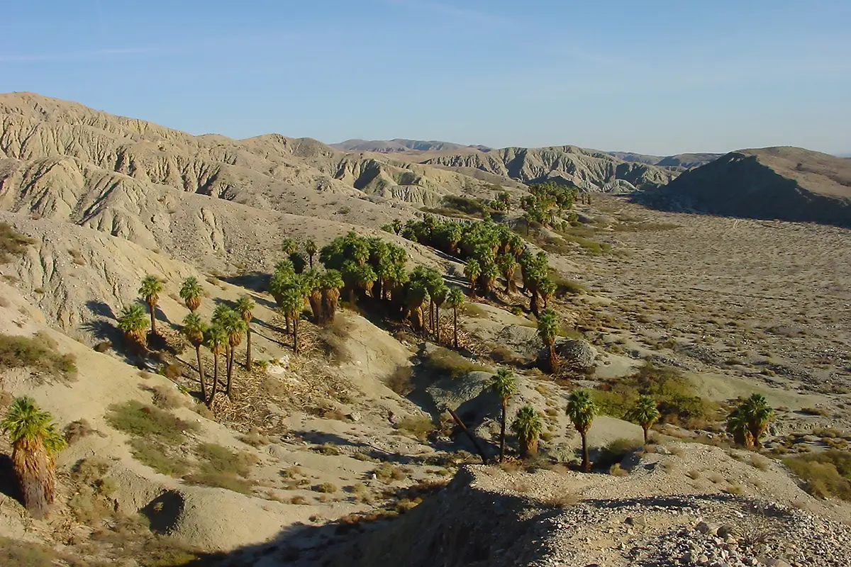 Palm Springs Hitze, Horizont, Geometrie