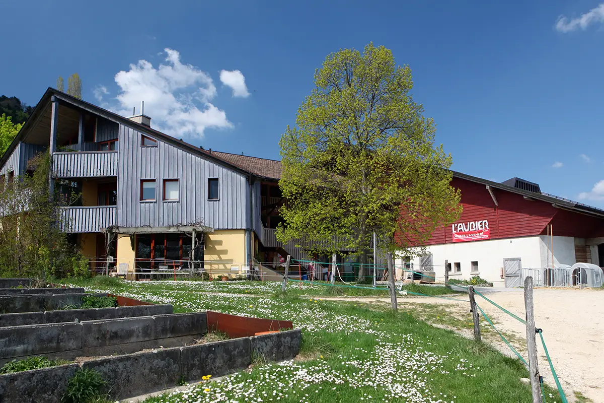 Hundert Meter bis zum Teller